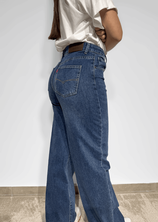 Classic Denim Jeans Ferrache