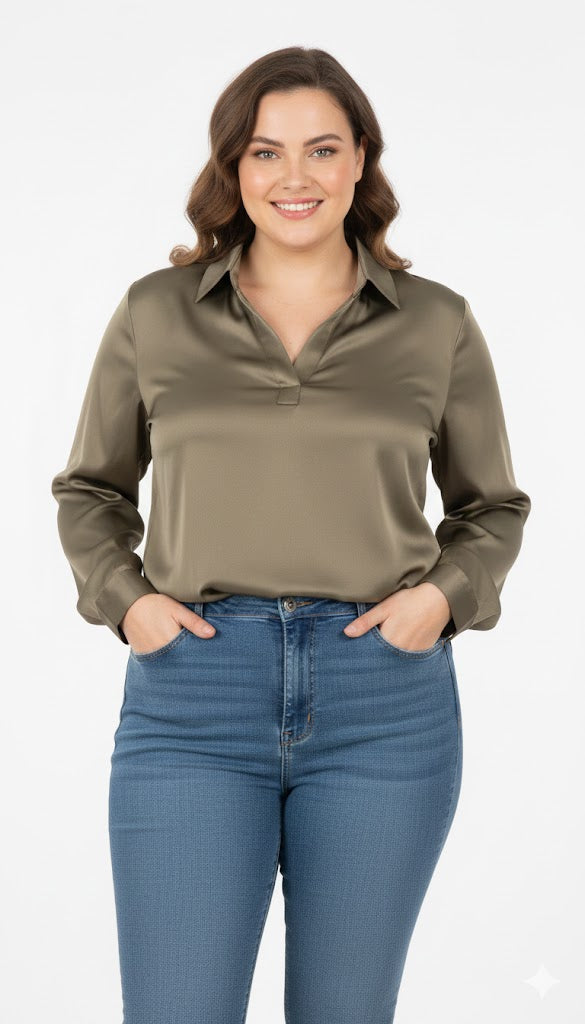 Classic V-Neck Long Sleeve Blouse Sisus
