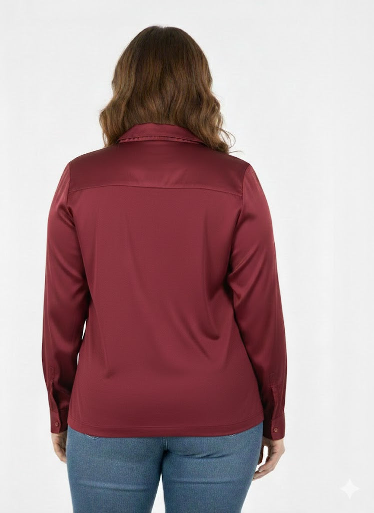 Classic V-Neck Long Sleeve Blouse Sisus