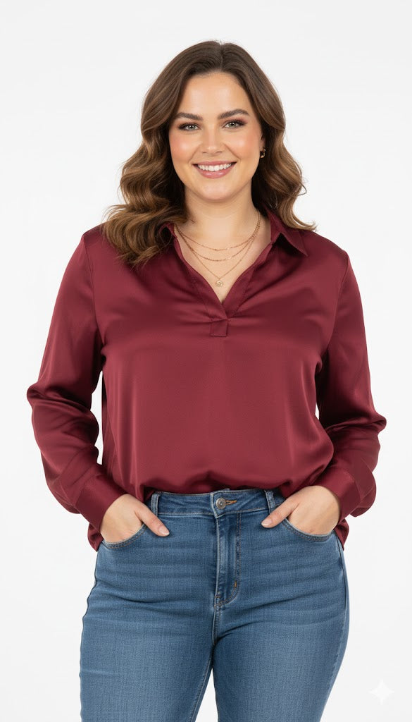 Classic V-Neck Long Sleeve Blouse Sisus